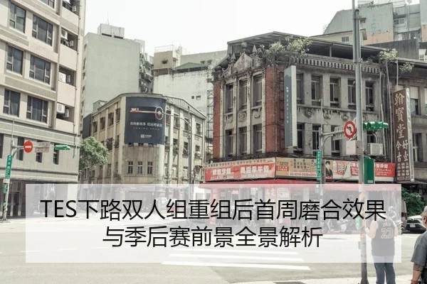 TES下路双人组重组后首周磨合效果与季后赛前景全景解析